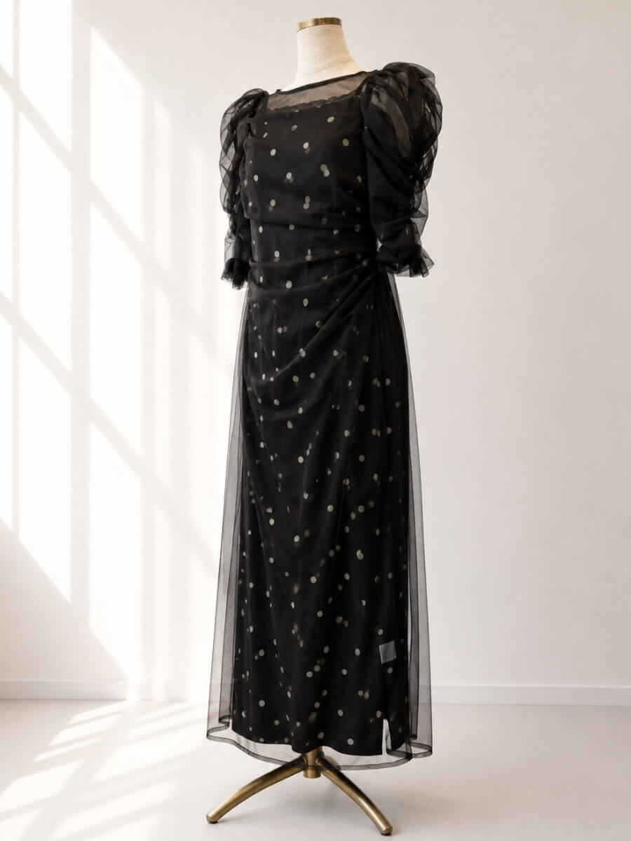 my closet / ANDRESD DOT LAYERED DRESS SBR