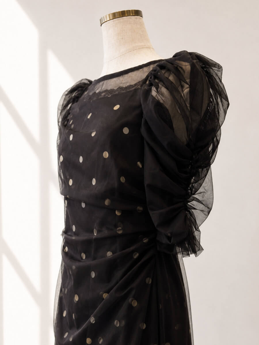my closet / ANDRESD DOT LAYERED DRESS SBR