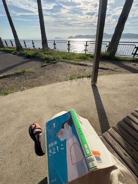 海