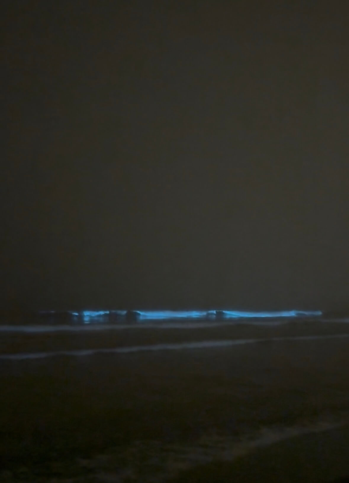 海岸